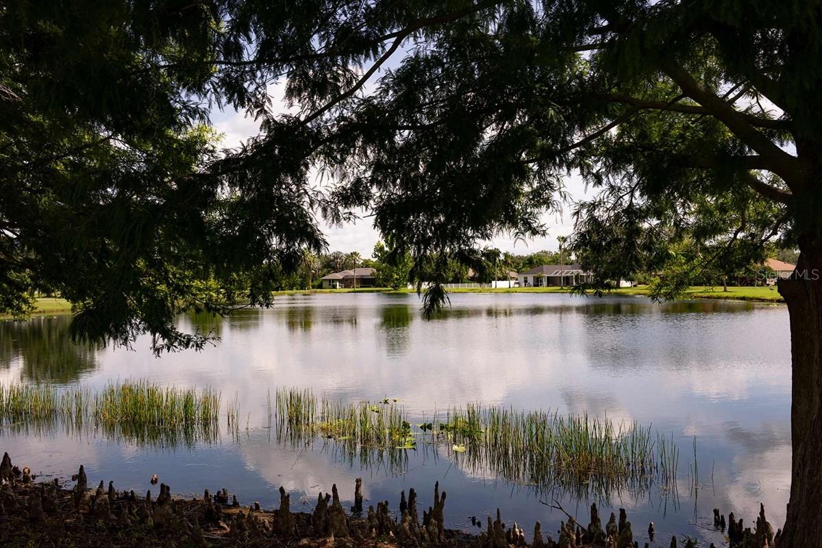 25th image of 15239 Eastlyn Dr, Bradenton, FL 34212 | MLS# TB8478200