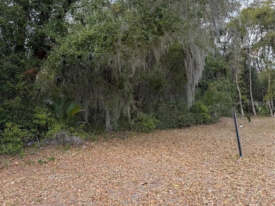 Homes for sale in Hawthorne, FL | Se 65th Ave, Hawthorne, FL 32640 | MLS# GC537746