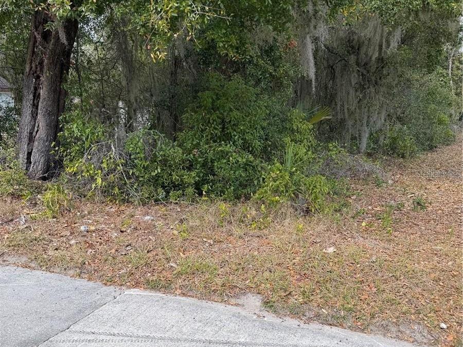 Homes for sale in Hawthorne, FL | Se 65th Ave, Hawthorne, FL 32640 | MLS# GC537746