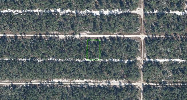Homes for sale in Sebring, FL | 613 Parakeet Ave, Sebring, FL 33872 | MLS# O6385266