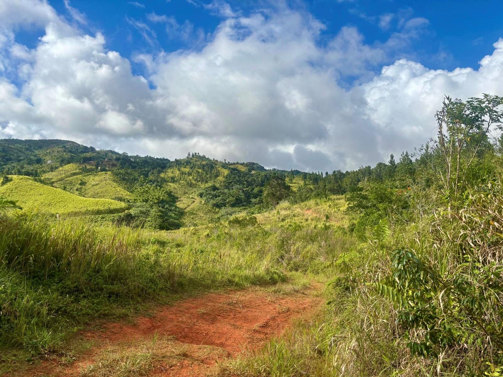 Homes for sale in Orocovis, PR | Carr 252 Km Hm 222, Orocovis, PR 00720 | MLS# PR9119530