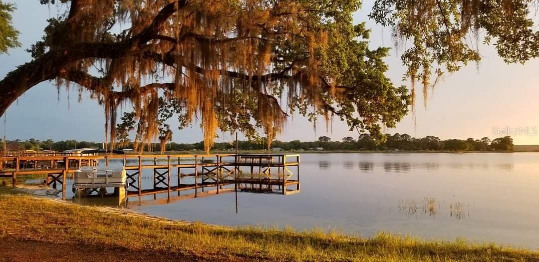 Homes for sale in Salt Springs, FL | 25160 140th Loop Ne, Salt Springs, FL 32134 | MLS# OM719709