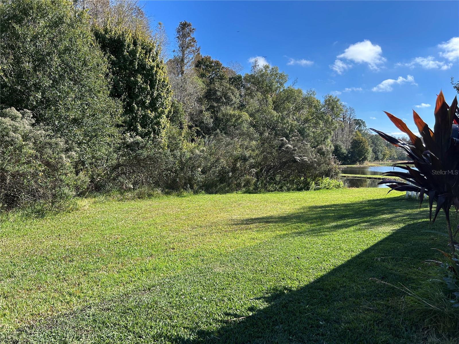 5th image of 11695 Crestridge Loop, New Port Richey, FL 34655 | MLS# W7883446