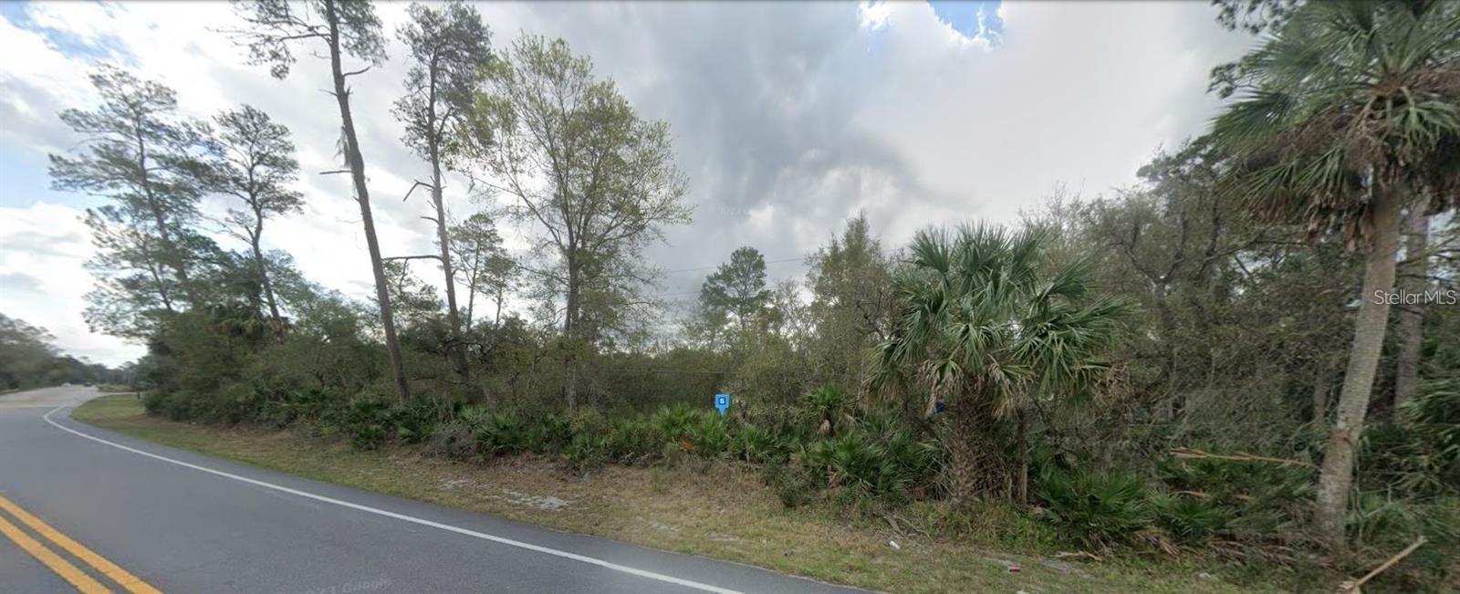 Homes for sale in Paisley, FL | 27654 County Road 42, Paisley, FL 32767 | MLS# O6386311