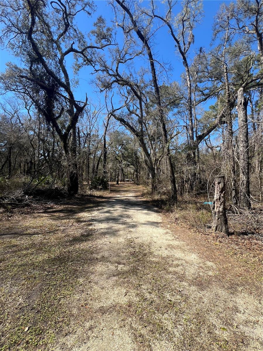 Homes for sale in Branford, FL | 0 Se Se Elisha Blvd, Branford, FL 32008 | MLS# GC537999