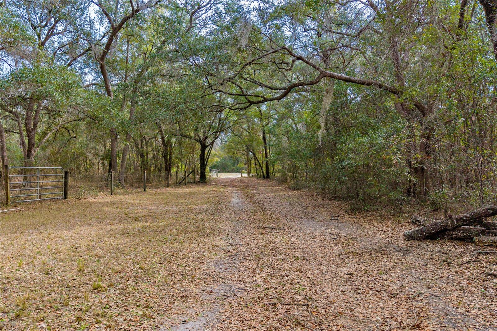 Homes for sale in Gainesville, FL | 19514 N County Road 225, Gainesville, FL 32609 | MLS# GC538017