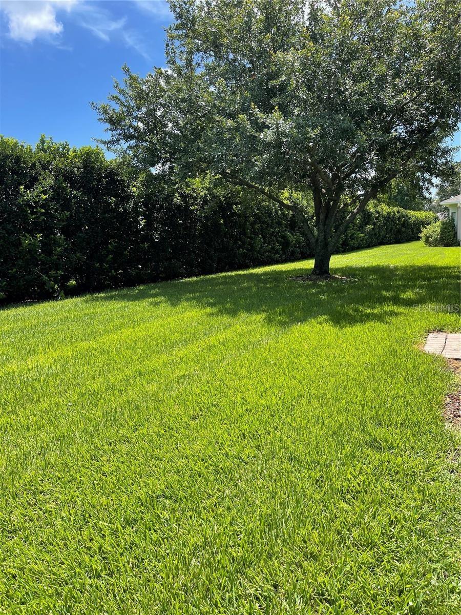 Homes for sale in Kissimmee, FL | 3249 River Branch Cir, Kissimmee, FL 34741 | MLS# O6386454