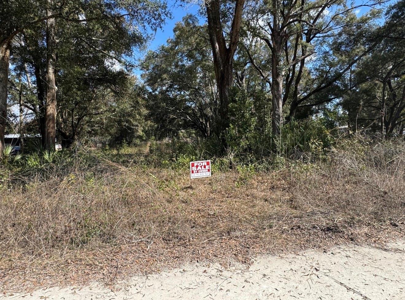 Homes for sale in Fanning Springs, FL | 17449 Nw 89th Ter, Fanning Springs, FL 32693 | MLS# S5144817