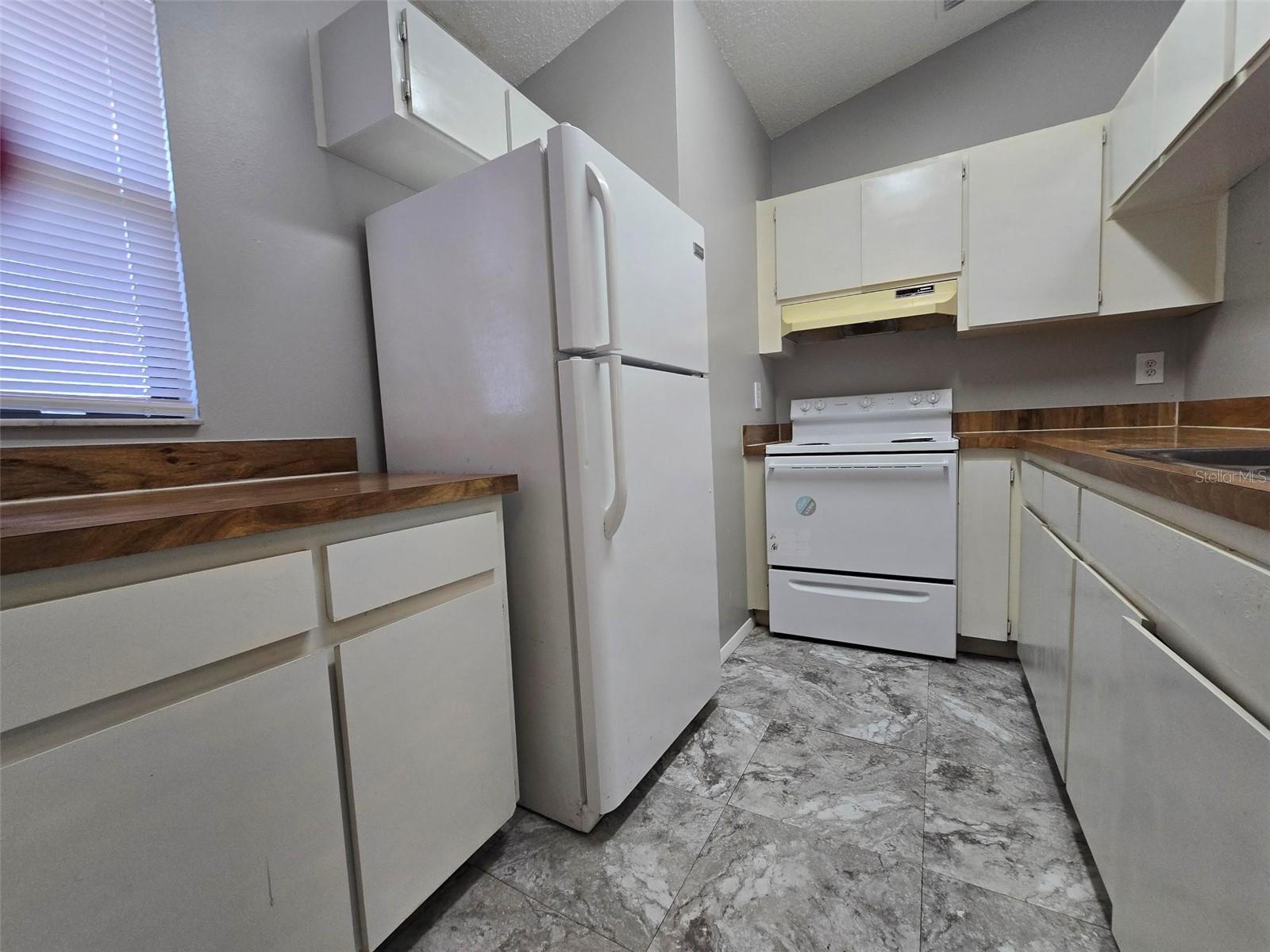 Homes for sale in Tampa, FL | 920 Otto Villa Pl, Tampa, FL 33612 | MLS# TB8481616