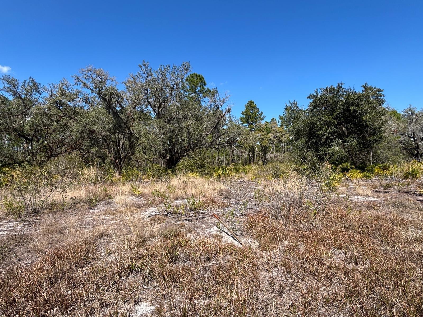 Homes for sale in Indian Lake Estates, FL | 1006 Palm Ave, Indian Lake Estates, FL 33855 | MLS# S5144906