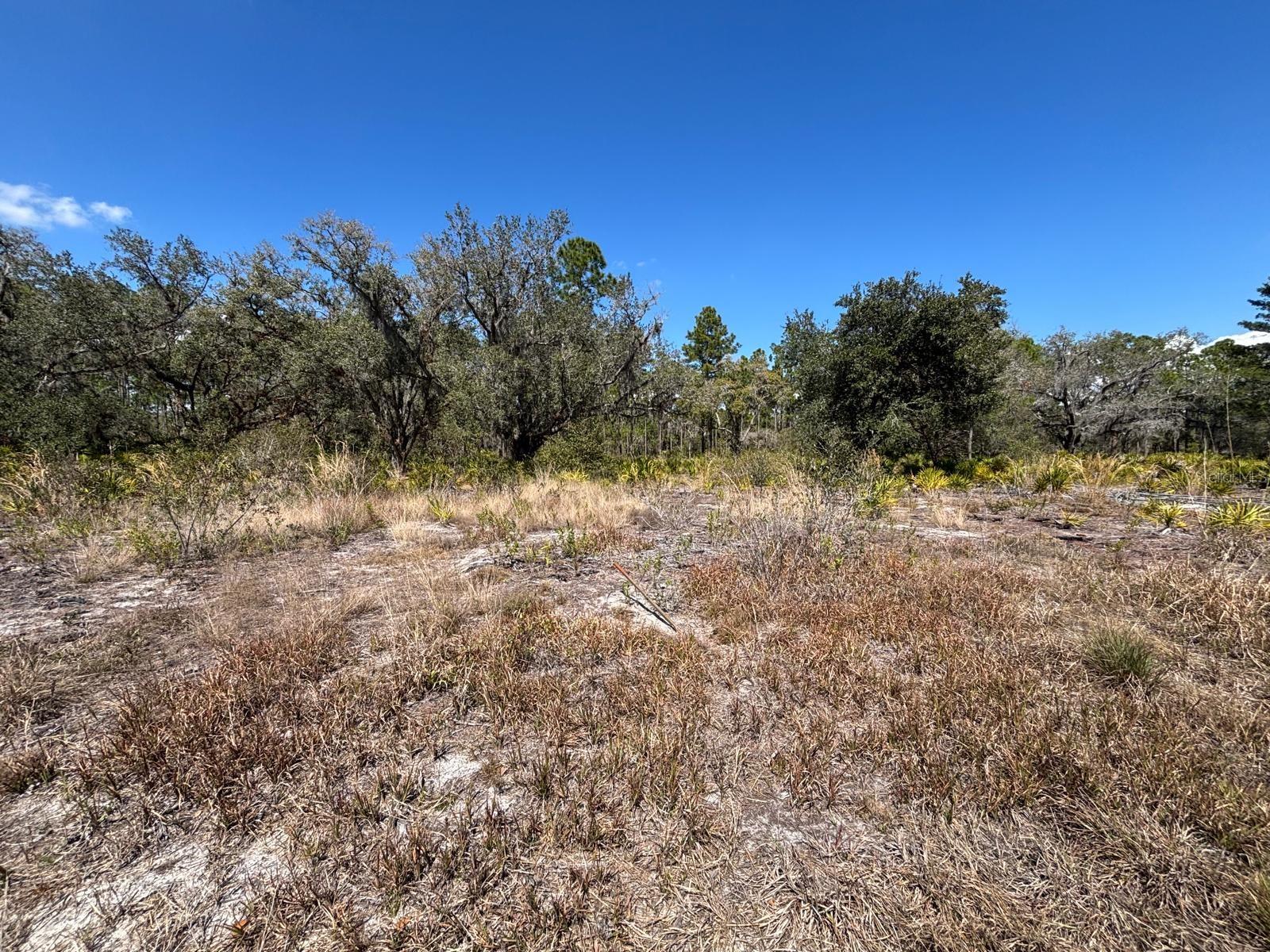 Homes for sale in Indian Lake Estates, FL | 1006 Palm Ave, Indian Lake Estates, FL 33855 | MLS# S5144906