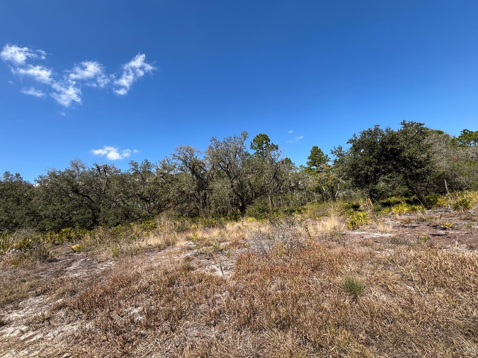 Homes for sale in Indian Lake Estates, FL | 1006 Palm Ave, Indian Lake Estates, FL 33855 | MLS# S5144906