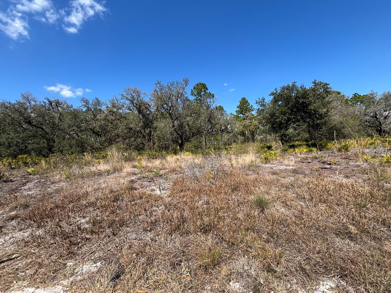 Homes for sale in Indian Lake Estates, FL | 1006 Palm Ave, Indian Lake Estates, FL 33855 | MLS# S5144906