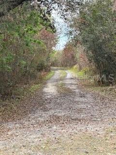 Homes for sale in Kissimmee, FL | 3095 Pastures Rd, Kissimmee, FL 34746 | MLS# S5144933