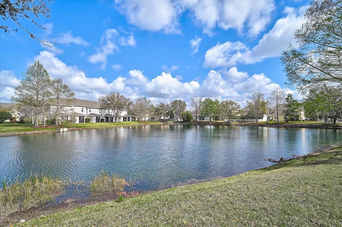 Homes for sale in Lakewood Ranch, FL | 14931 Amberjack Ter, Lakewood Ranch, FL 34202 | MLS# A4684695