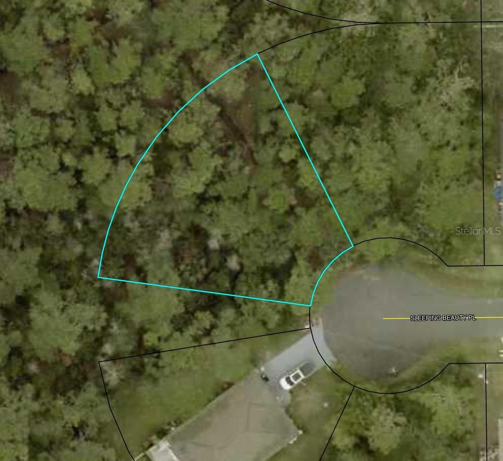 Homes for sale in Palm Coast, FL | 16 Sleeping Beauty Pl, Palm Coast, FL 32164 | MLS# TB8482553