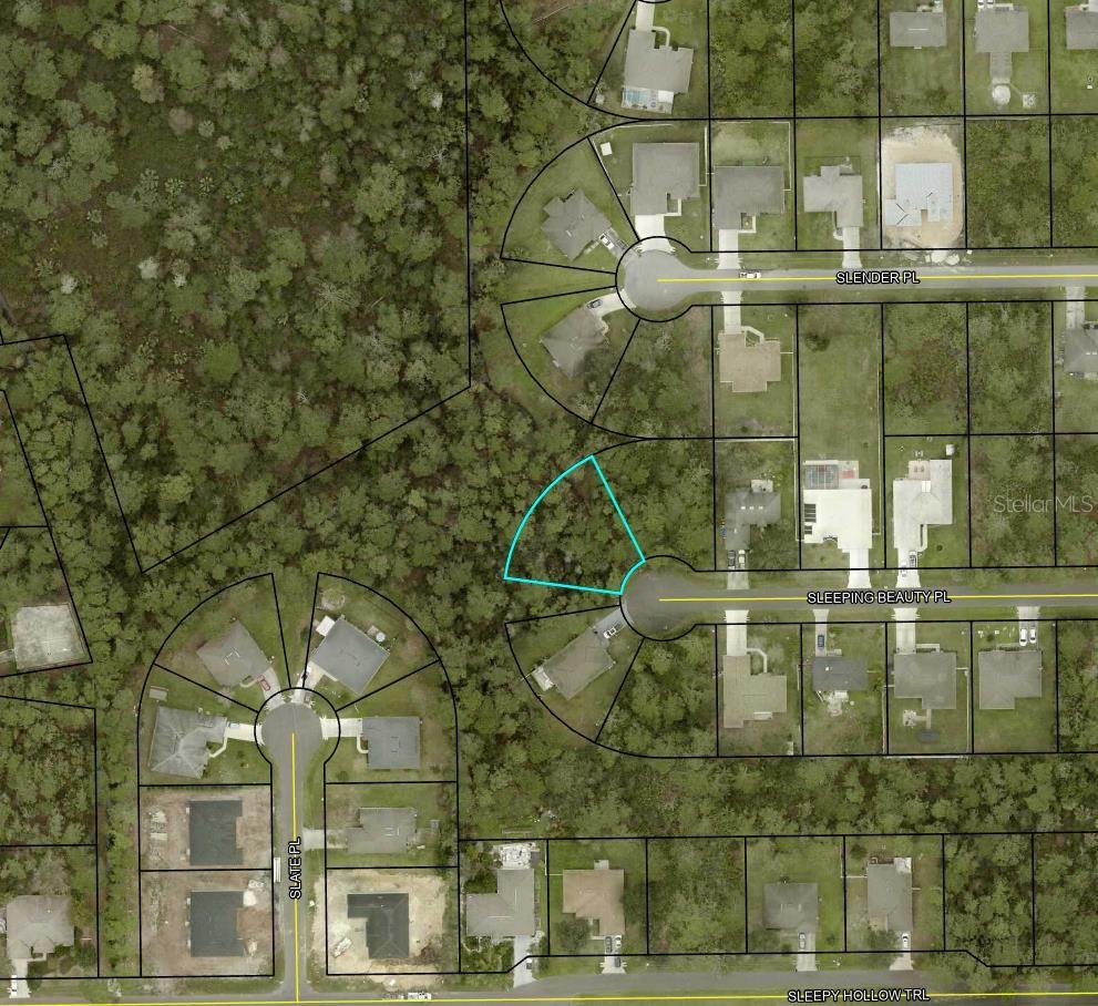 Homes for sale in Palm Coast, FL | 16 Sleeping Beauty Pl, Palm Coast, FL 32164 | MLS# TB8482553