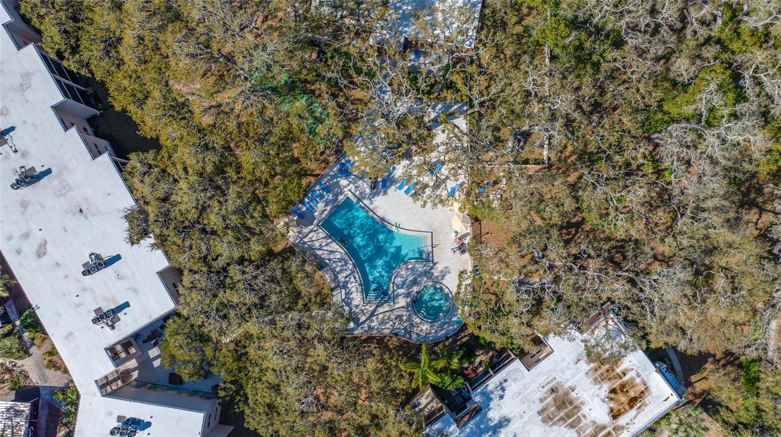 Homes for sale in Dunedin, FL | 820 Virginia St #206, Dunedin, FL 34698 | MLS# TB8482946