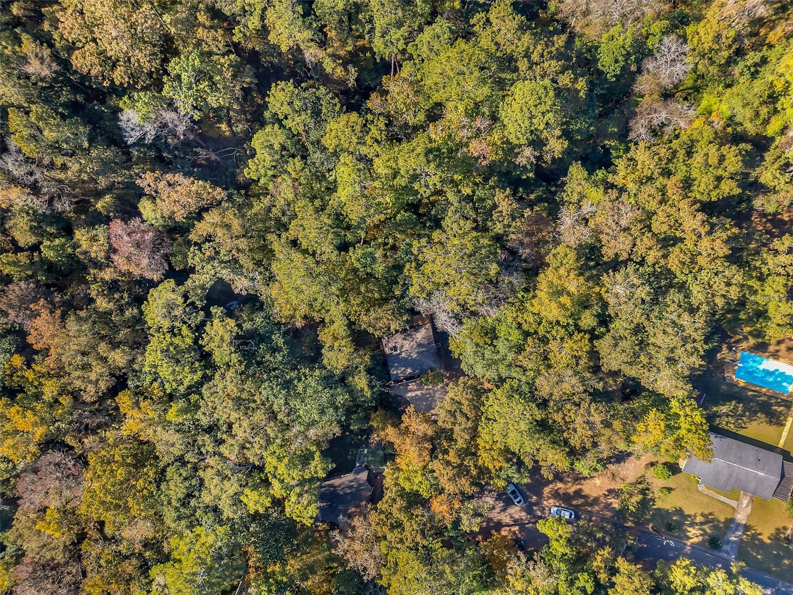 Homes for sale in Tallahassee, FL | 0 Glennis Ct, Tallahassee, FL 32303 | MLS# GC538198