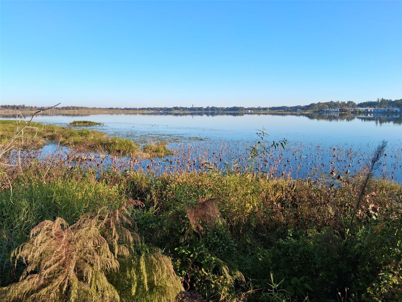 Homes for sale in Lakeland, FL | 1836 N Crystal Lake Dr #117, Lakeland, FL 33801 | MLS# B4902205