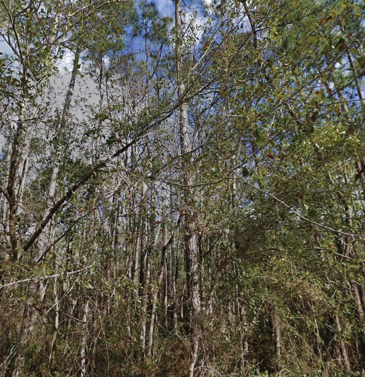 Homes for sale in Palatka, FL | Se 3rd St, Palatka, FL 32177 | MLS# O6388954