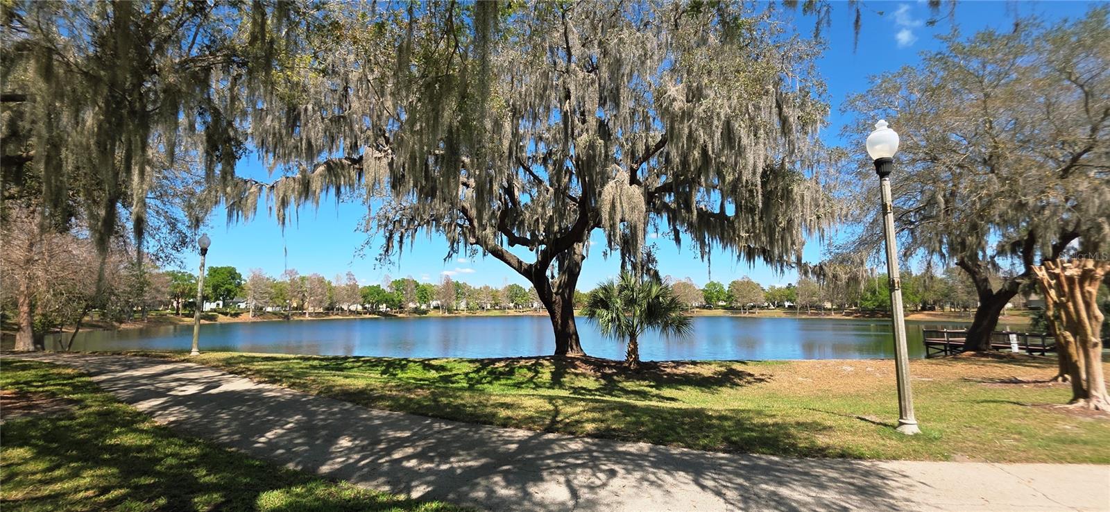 Homes for sale in Windermere, FL | 14439 Bluebird Park Rd, Windermere, FL 34786 | MLS# O6389567