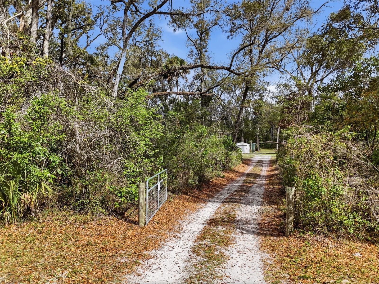 Homes for sale in Old Town, FL | 167 Ne 212Th Ave, Old Town, FL 32680 | MLS# GC538363