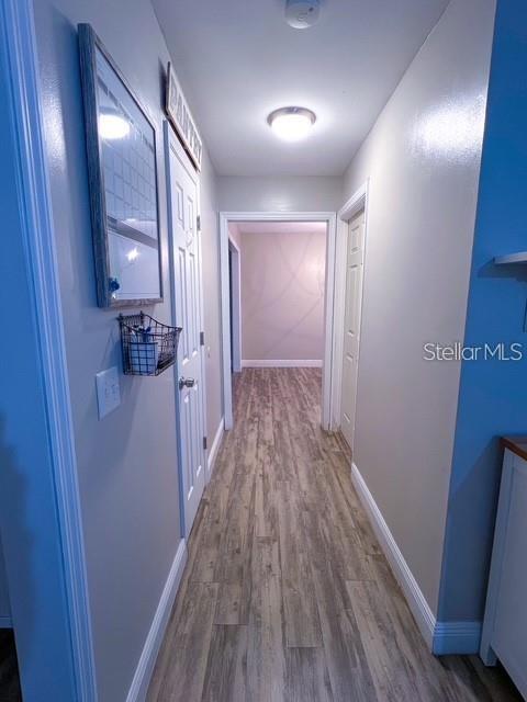 Homes for sale in Tallahassee, FL | 1928 Lawson Rd, Tallahassee, FL 32308 | MLS# S5145574