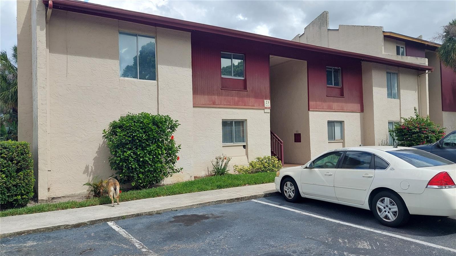 Homes for sale in Tampa, FL | 8609 N Champlain Ct #77, Tampa, FL 33614 | MLS# TB8485716