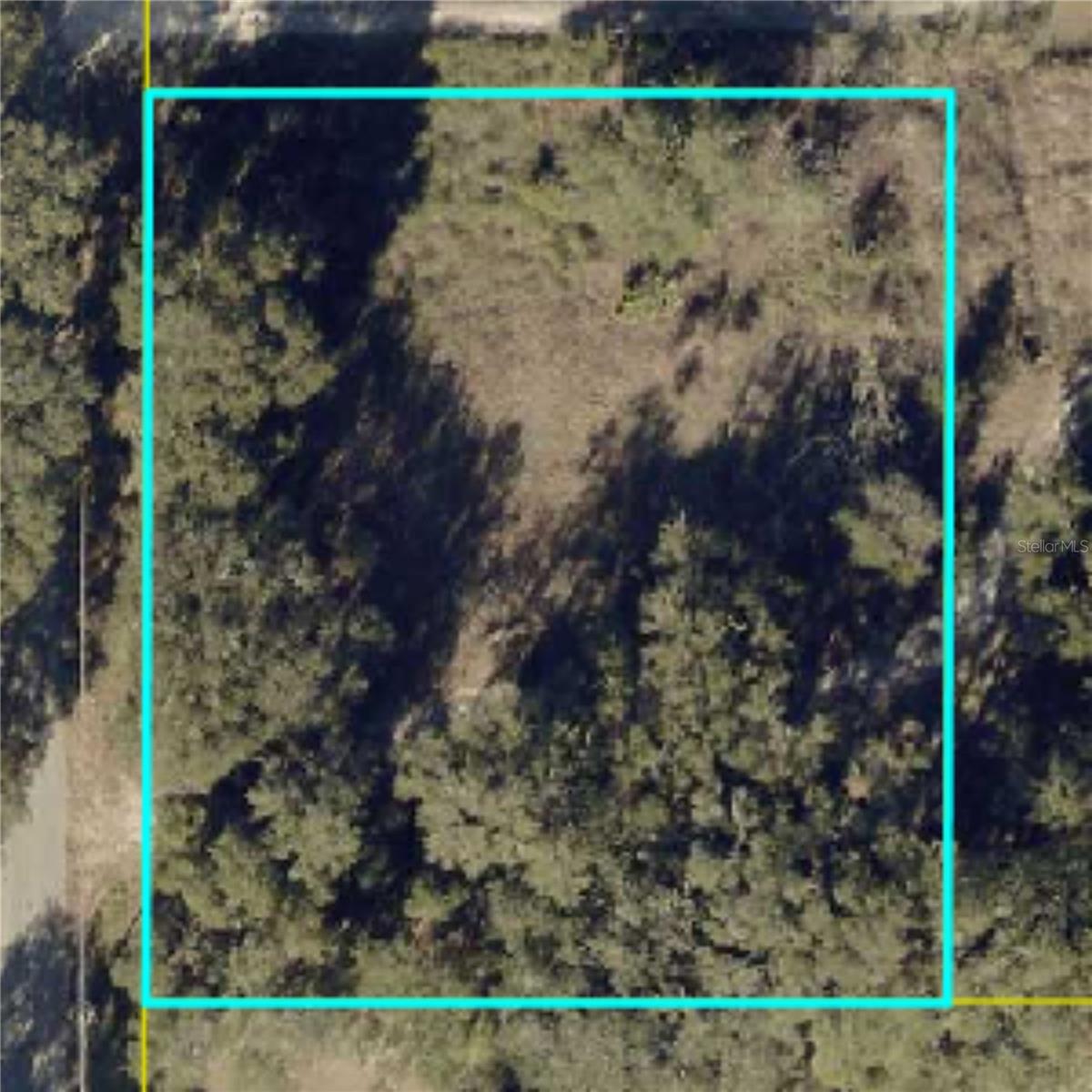 Homes for sale in Wildwood, FL | County Road 213, Wildwood, FL 34785 | MLS# TB8486782