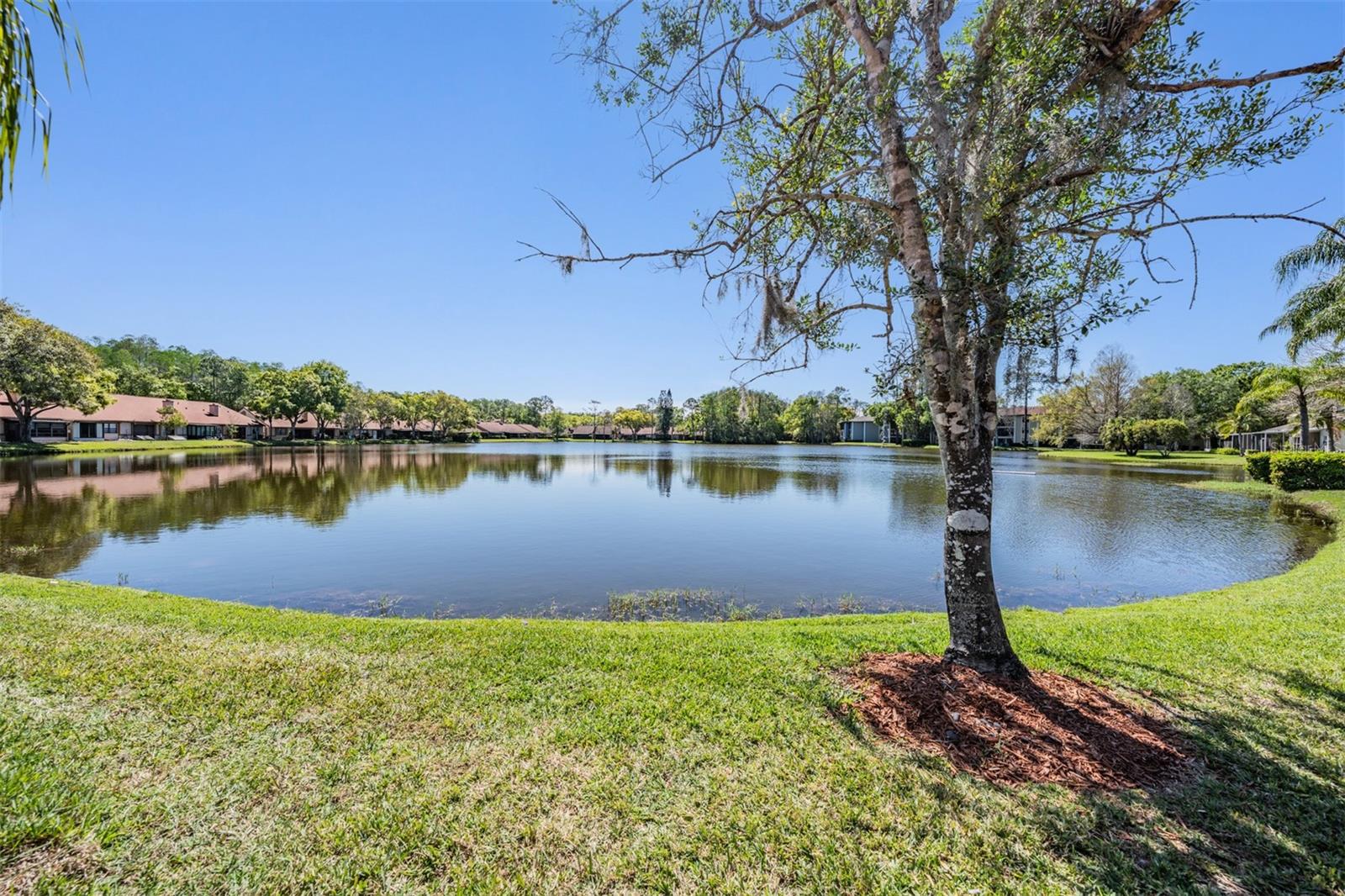 3rd image of 3960 Mermoor Dr, Palm Harbor, FL 34685 | MLS# TB8488826