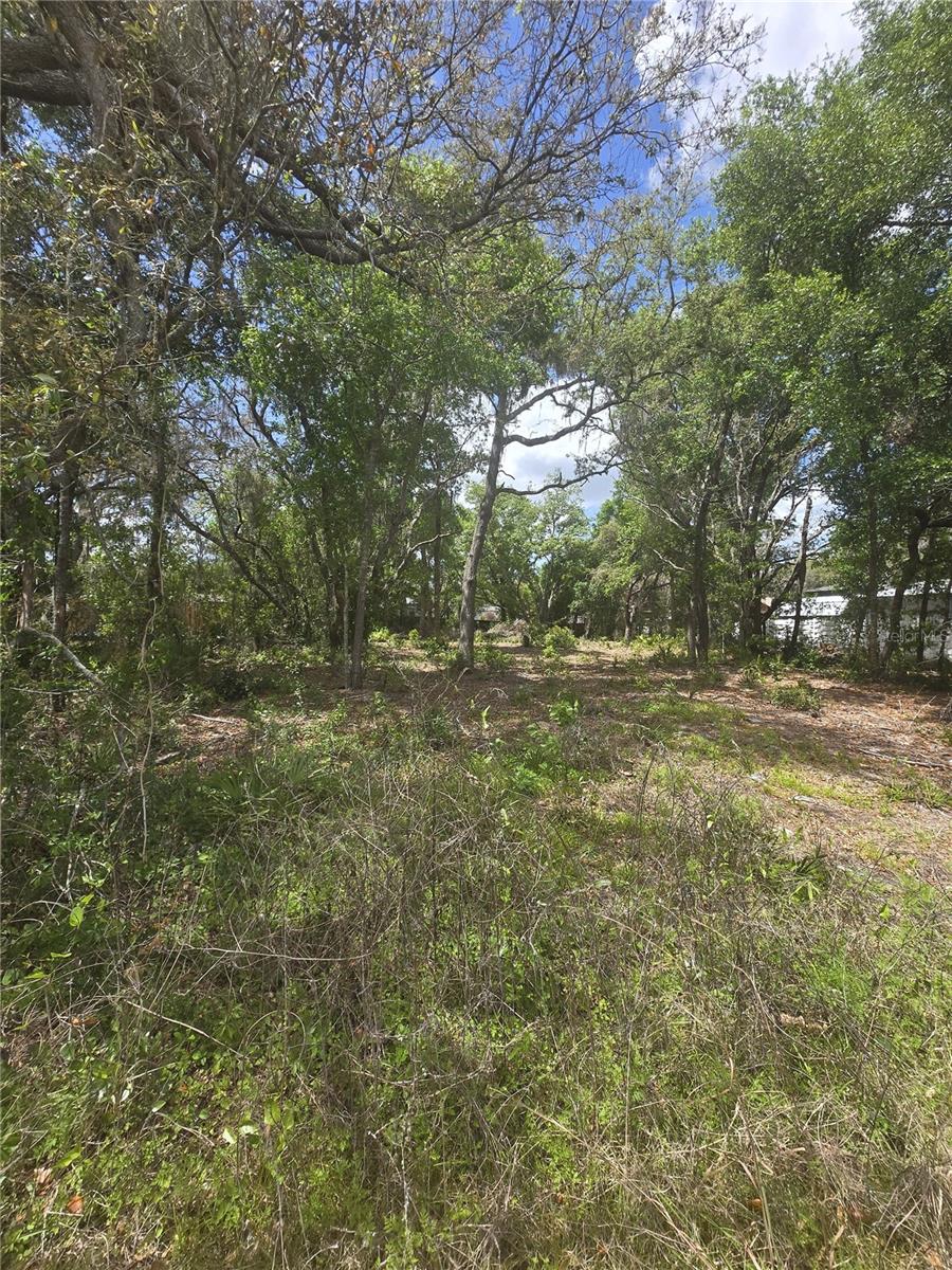 1st image of 8140 Walt Williams Rd, Lakeland, FL 33809 | MLS# S5147069