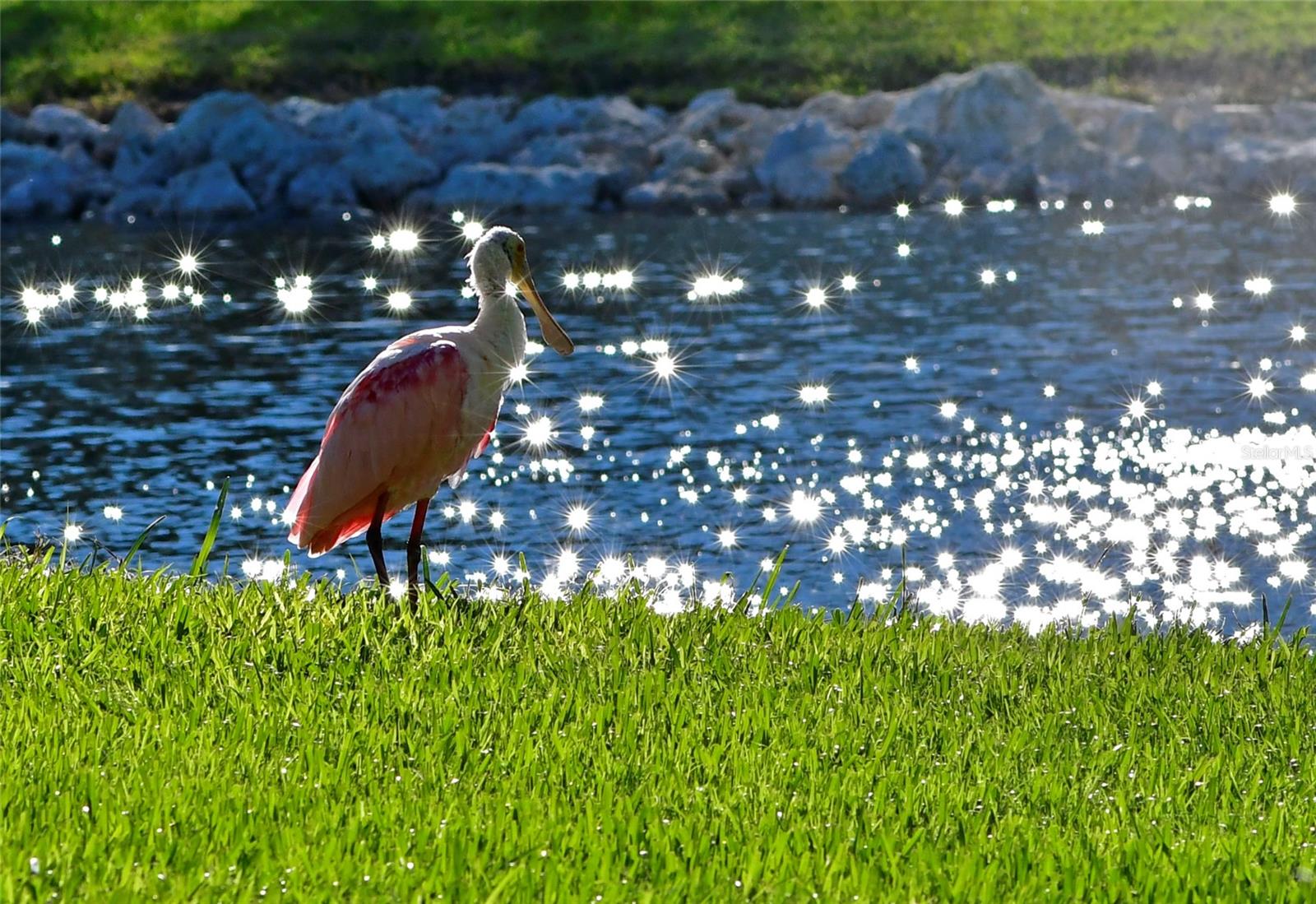 5th image of 4726 Potomac Cir, Bradenton, FL 34210 | MLS# A4688661