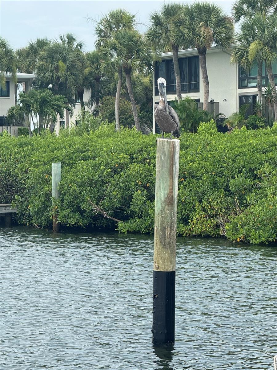 46th image of 445 63rd St, Holmes Beach, FL 34217 | MLS# A4688793