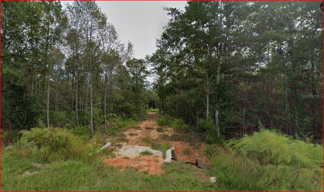 Homes for sale in Milton, FL | 4536 Black Oak Rd, Milton, FL 32583 | MLS# OM722415
