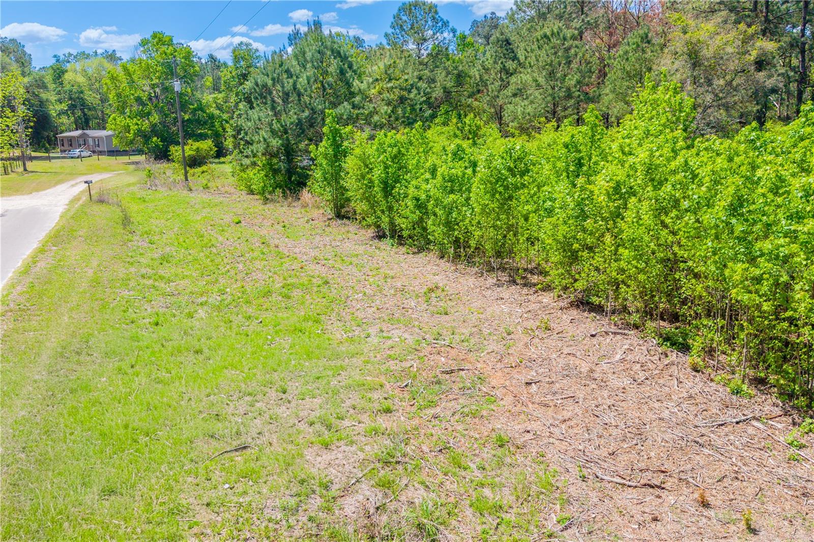 8th image of 5781 Sw 91st Pl, Lake Butler, FL 32054 | MLS# GC539414