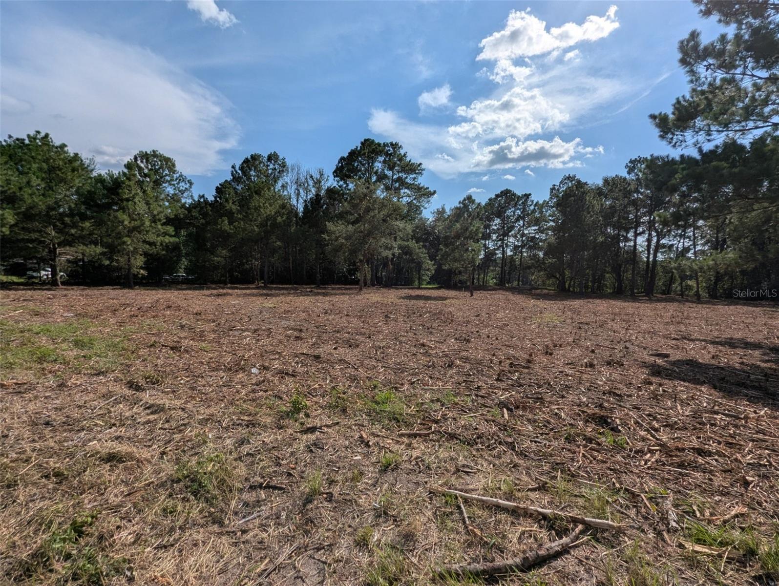 1st image of 5781 Sw 91st Pl, Lake Butler, FL 32054 | MLS# GC539414