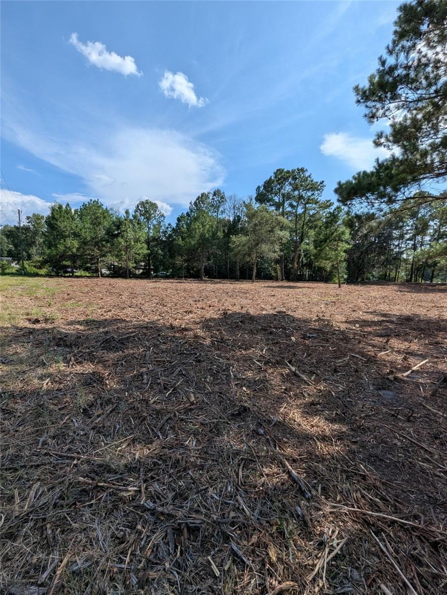 3rd image of 5781 Sw 91St Pl, Lake Butler, FL 32054 | MLS# GC539414