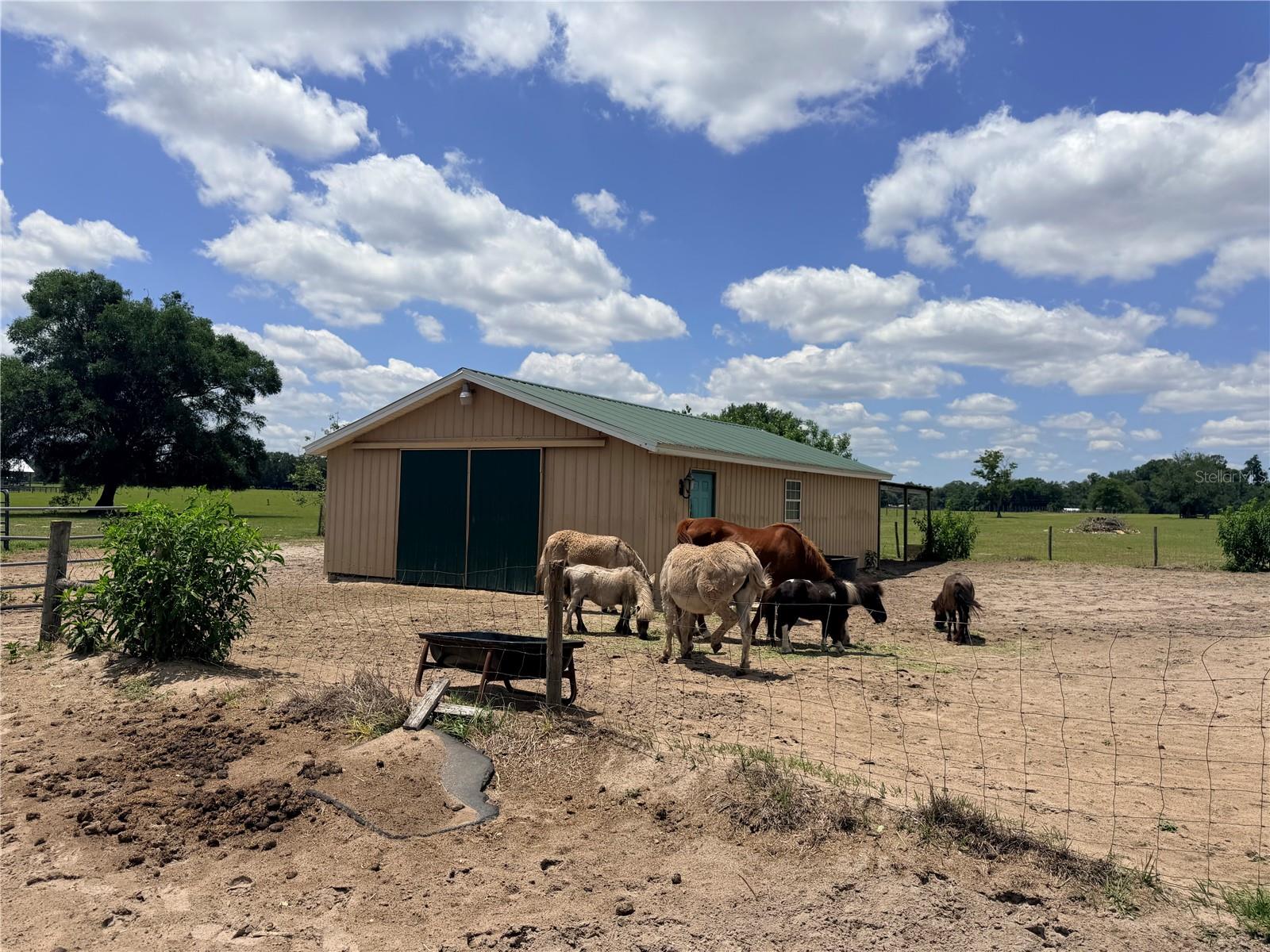 Homes for sale in Oxford, FL | 12764 County Road 223, Oxford, FL 34484 | MLS# G5111074