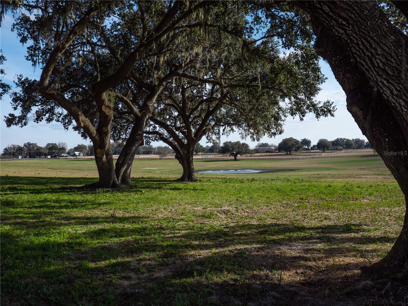 9th image of Tbd Nw Gainesville Rd, Reddick, FL 32686 | MLS# OM723151