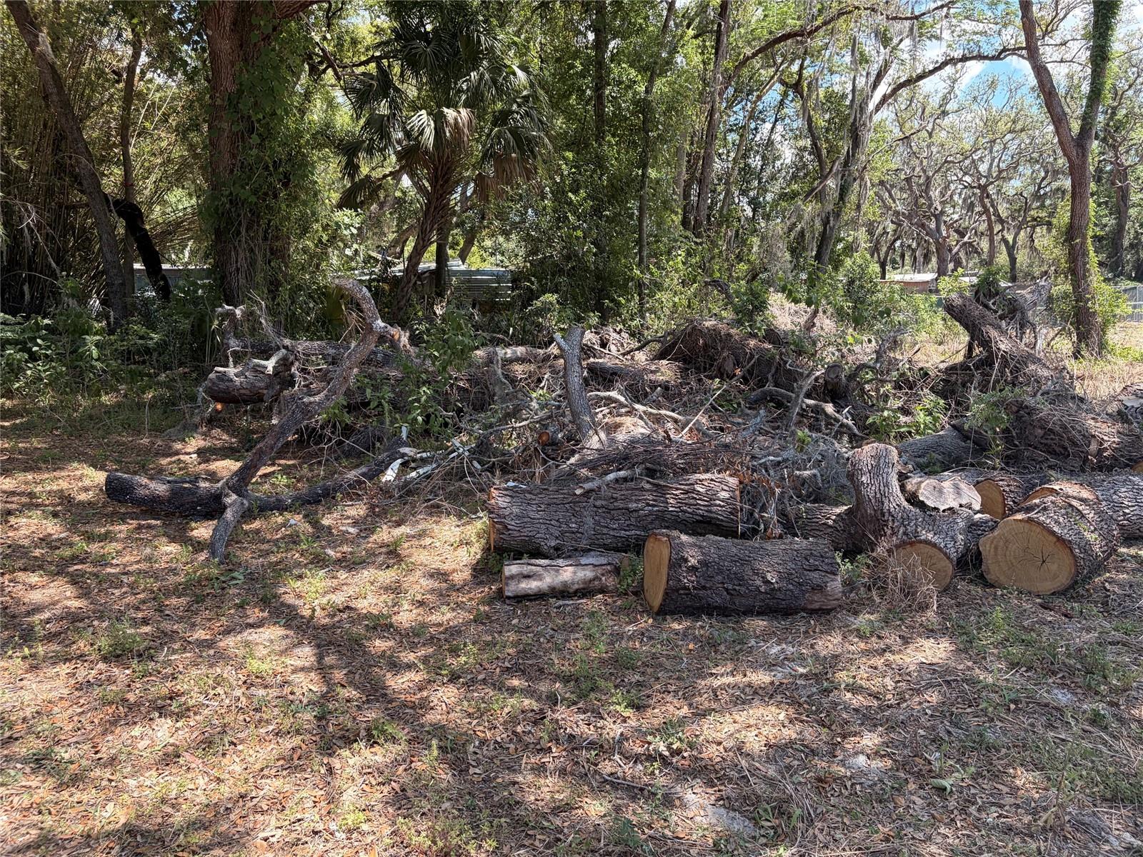 14th image of Hicks Road, Hudson, FL 34667 | MLS# TB8500845