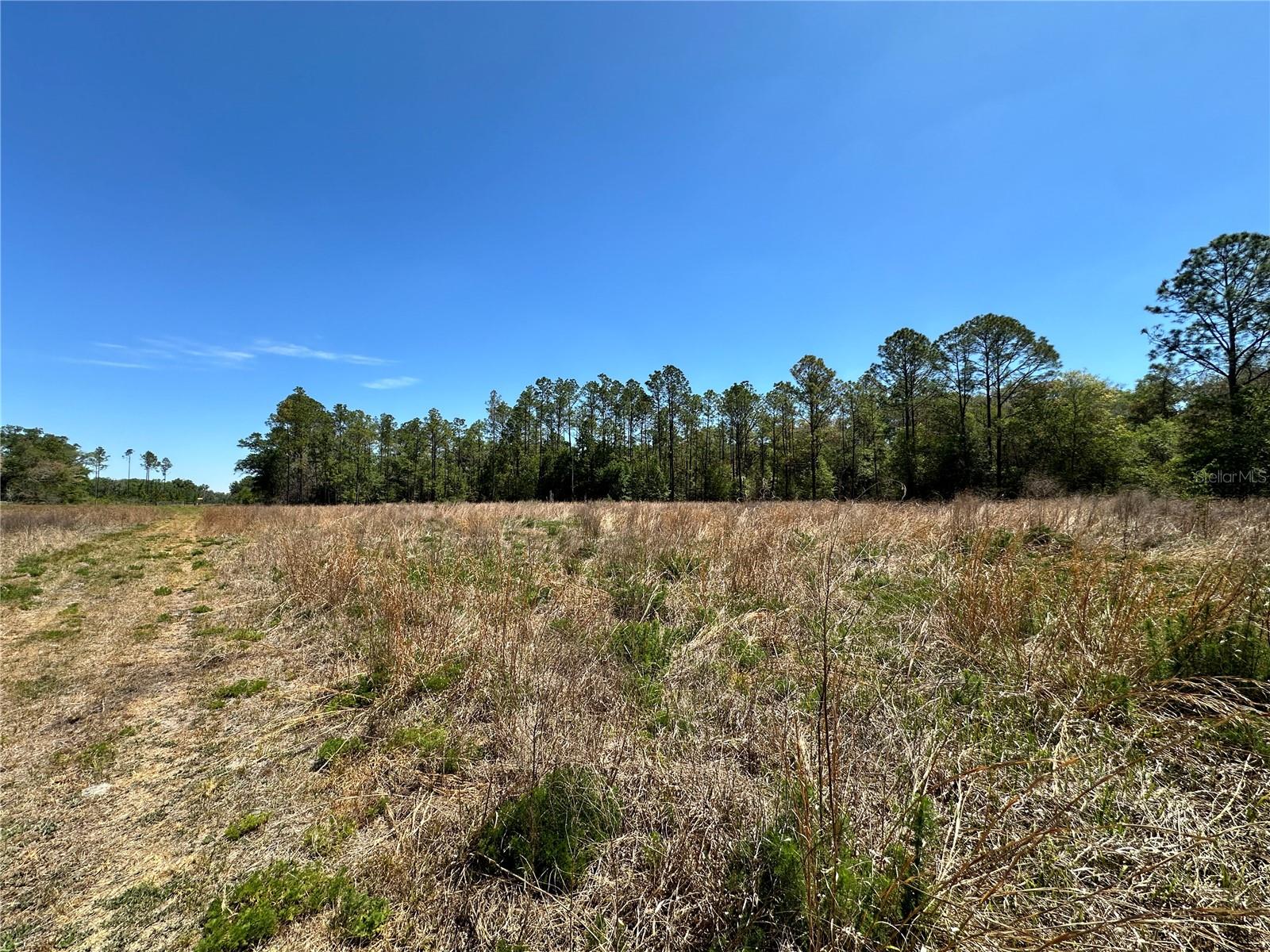 Homes for sale in Bronson, FL | Tbd Ne 128th Ln, Bronson, FL 32621 | MLS# OM723397