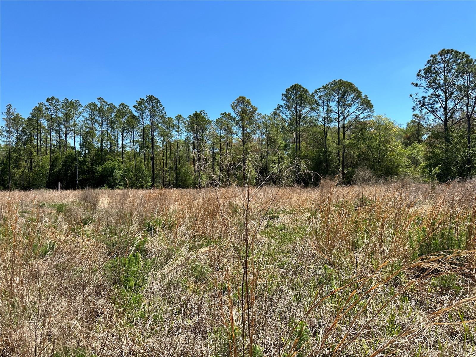 Homes for sale in Bronson, FL | Tbd Ne 128th Ln, Bronson, FL 32621 | MLS# OM723397