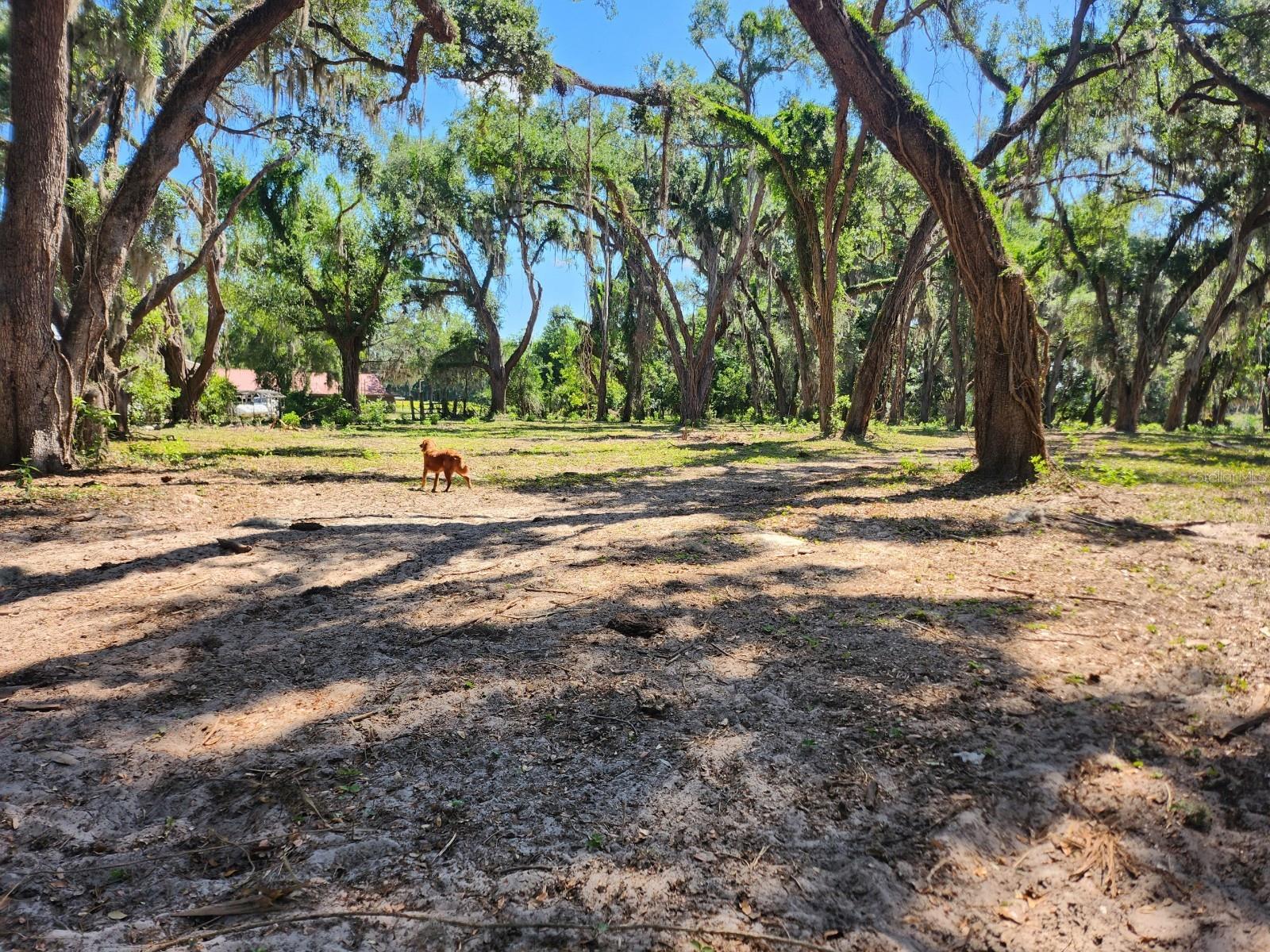 1st image of Muck Pond Rd, Seffner, FL 33584 | MLS# TB8501301