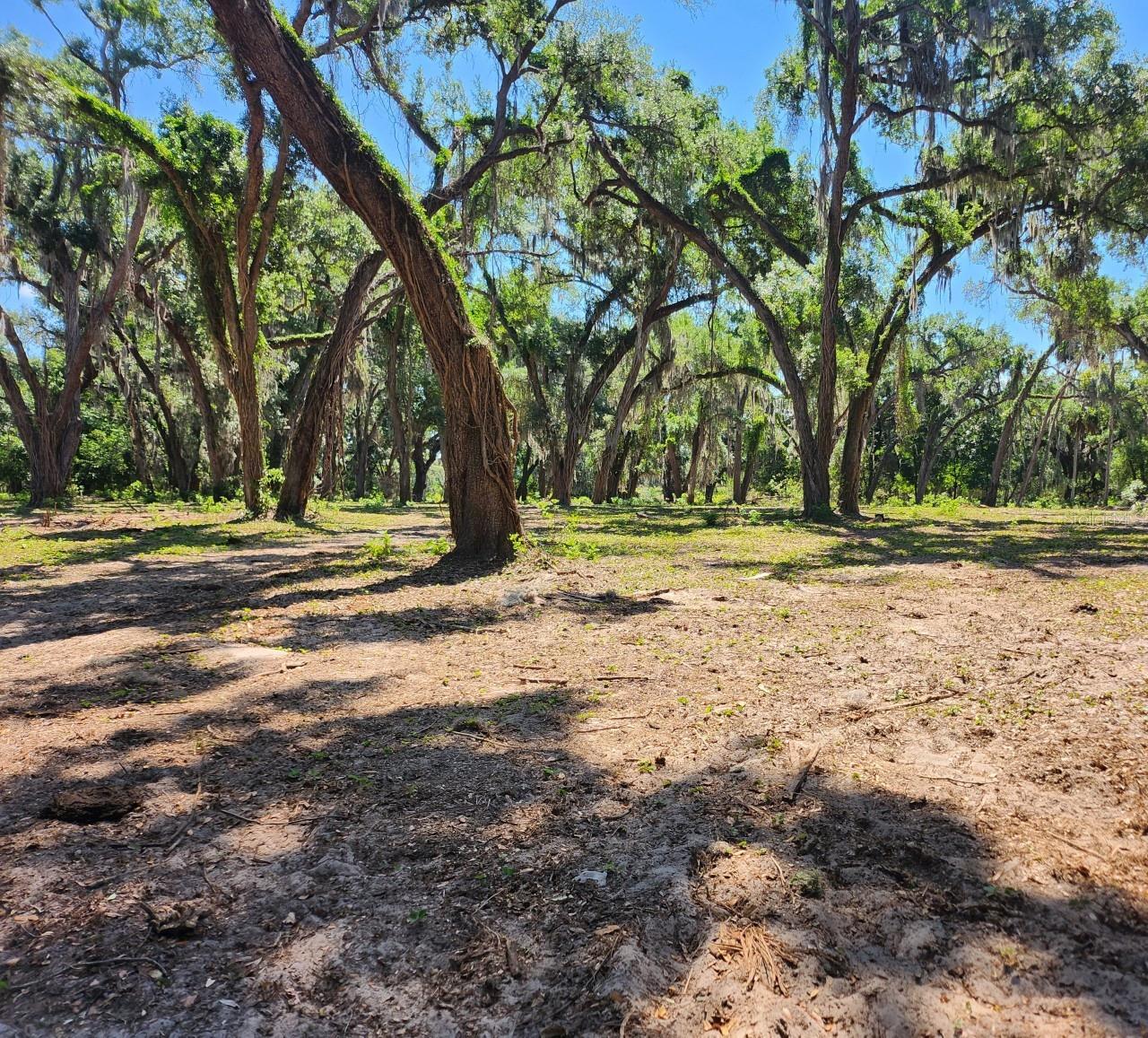 14th image of Muck Pond Rd, Seffner, FL 33584 | MLS# TB8501301