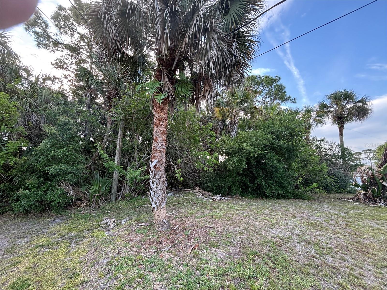 5th image of 556 Burlington Ave Ne, Palm Bay, FL 32907 | MLS# S5148667