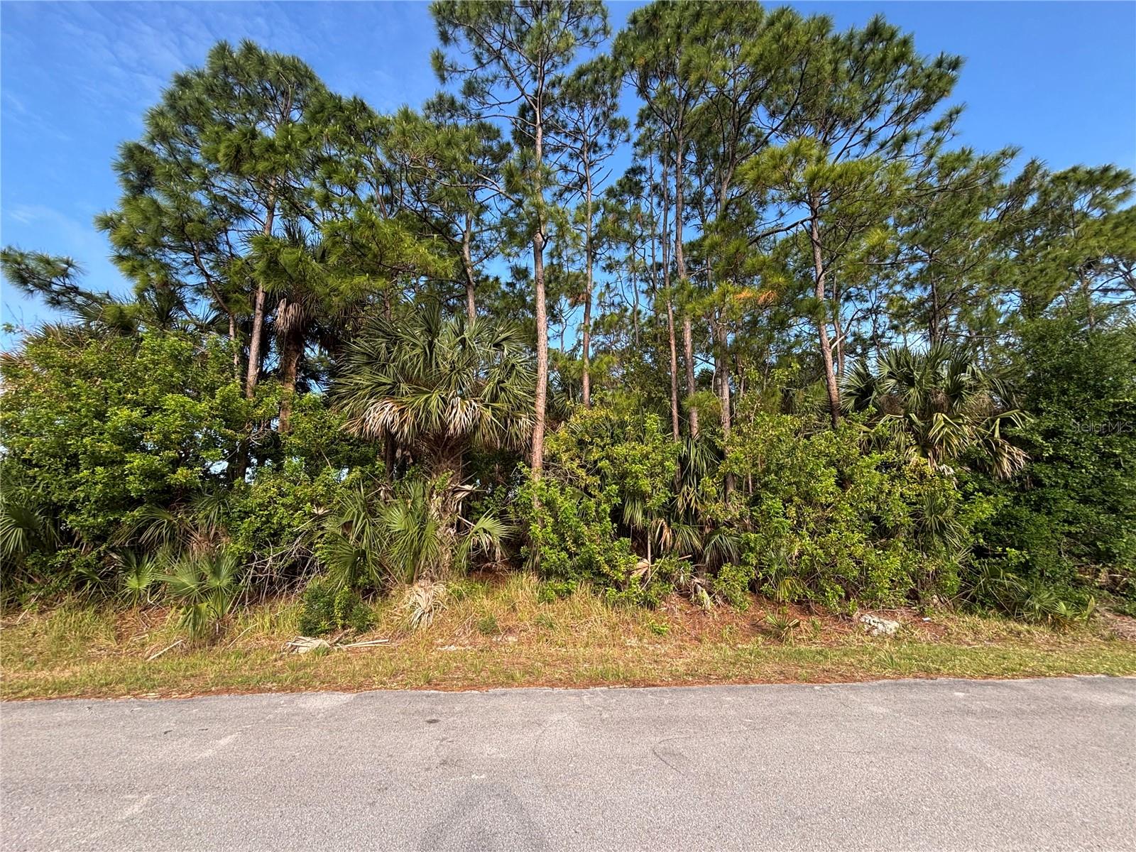 1st image of 556 Burlington Ave Ne, Palm Bay, FL 32907 | MLS# S5148667