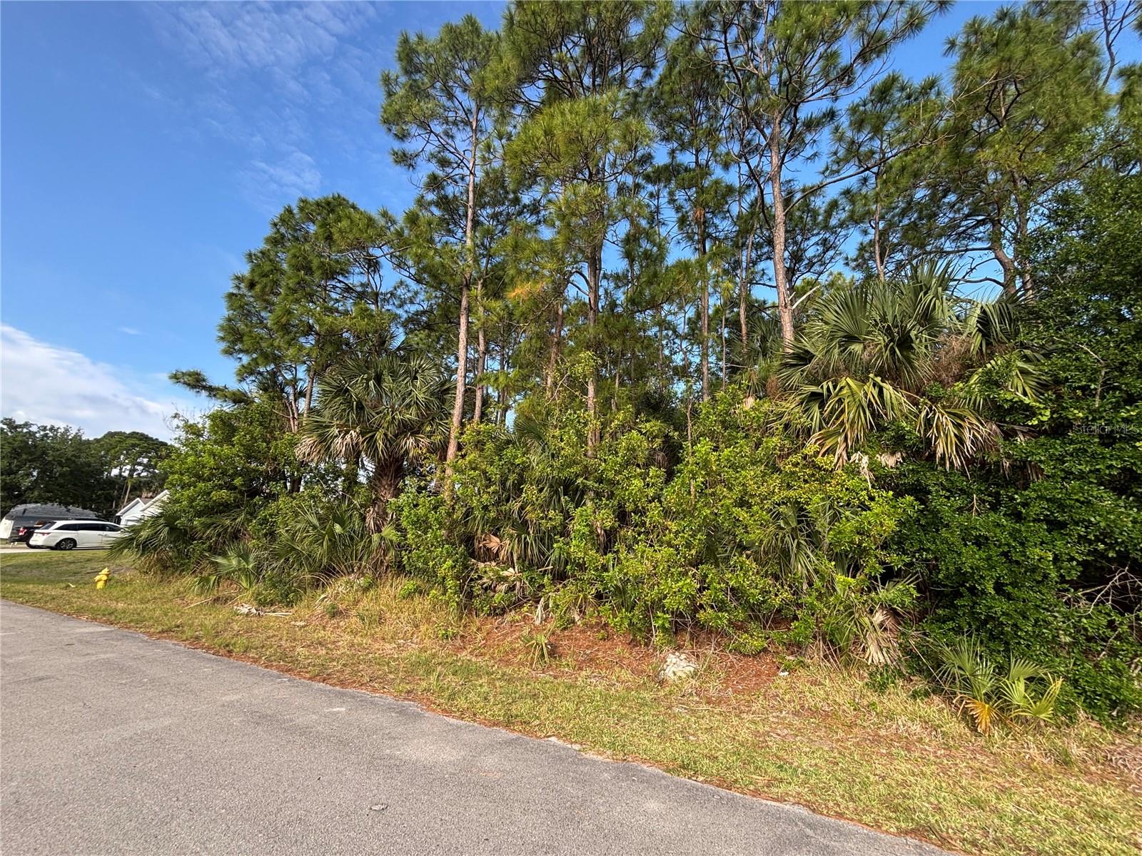 3rd image of 556 Burlington Ave Ne, Palm Bay, FL 32907 | MLS# S5148667