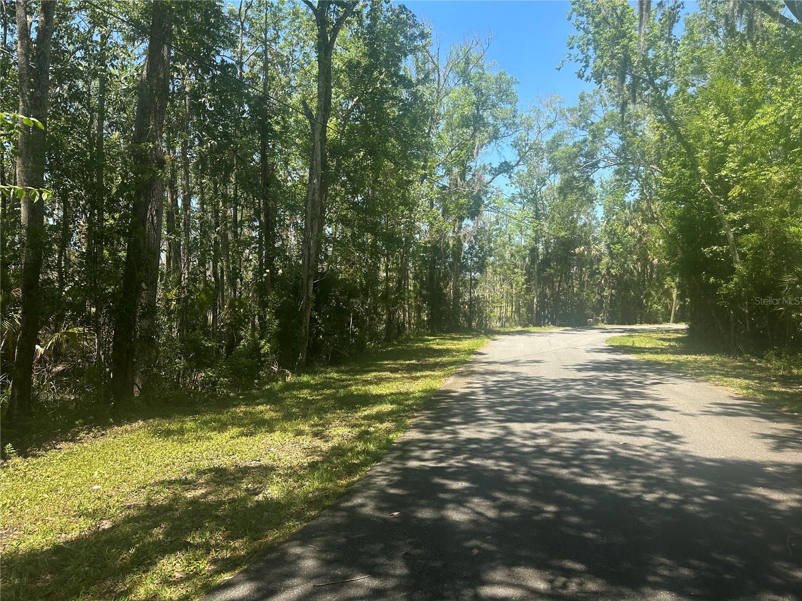 3rd image of 650 Miller Creek Rd, Crystal River, FL 34428 | MLS# OM724011