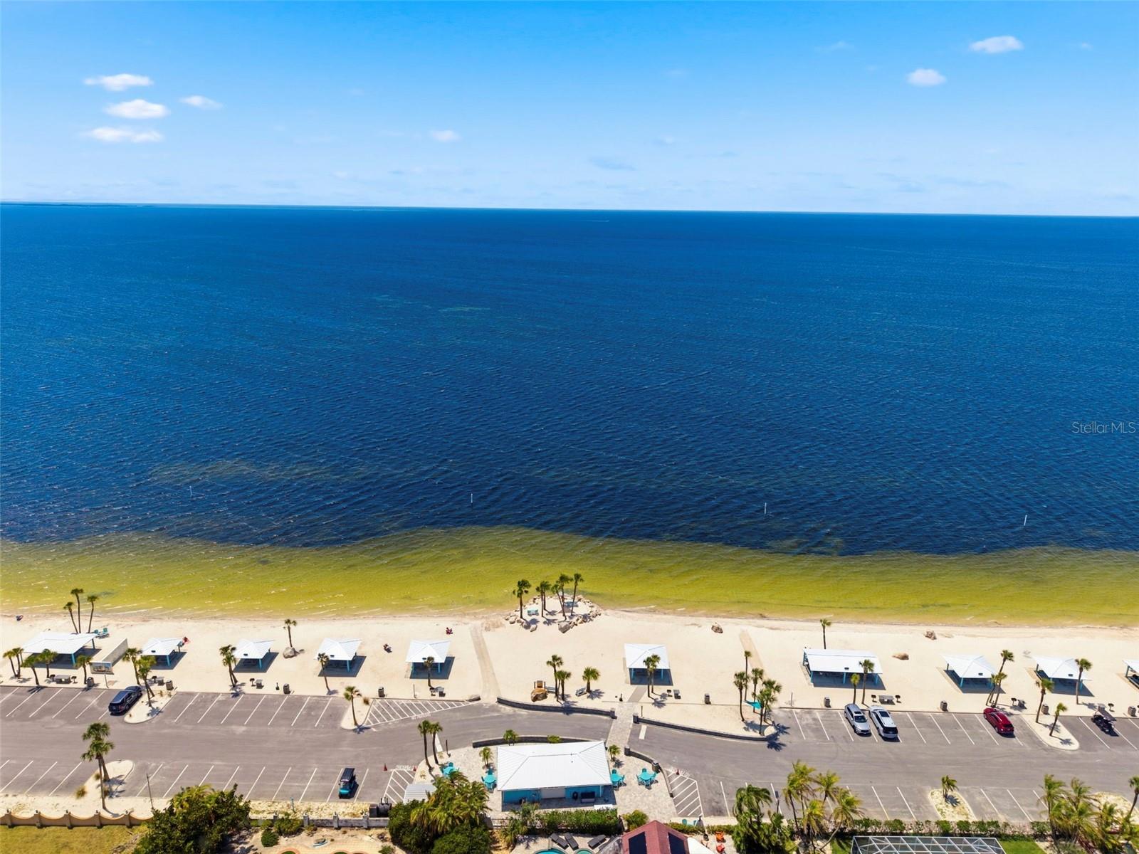 4th image of 4939 Floramar Ter, New Port Richey, FL 34652